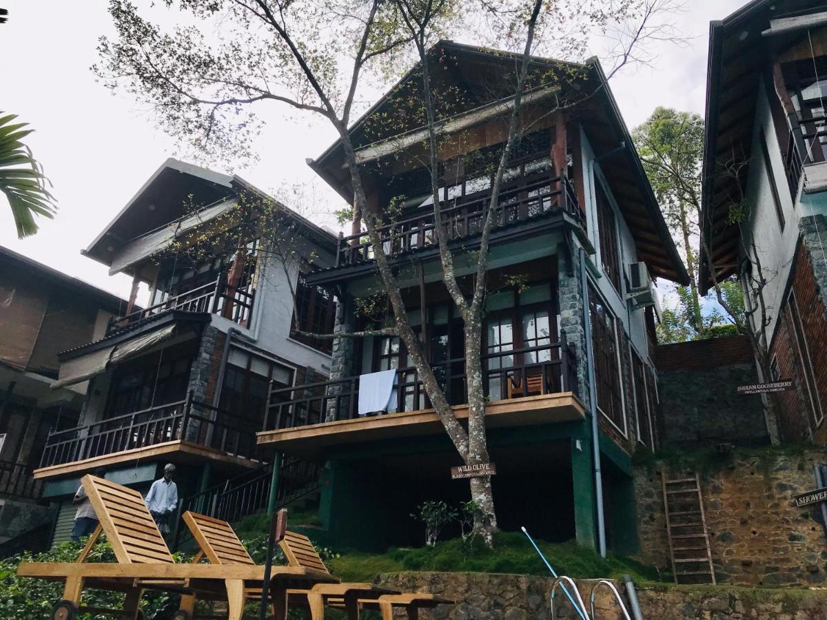 Tina Nature Villa Ела Екстериор снимка